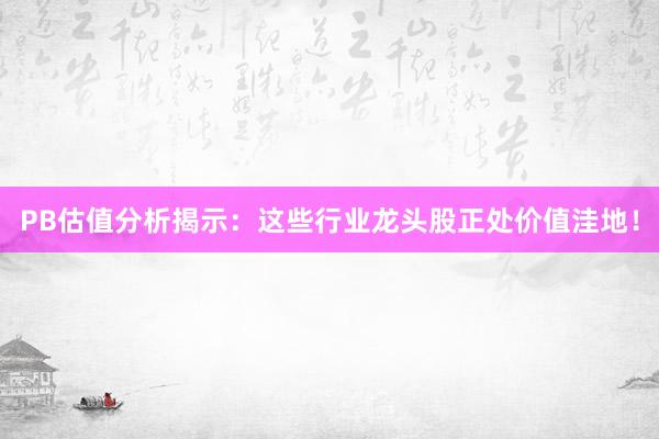 PB估值分析揭示：这些行业龙头股正处价值洼地！