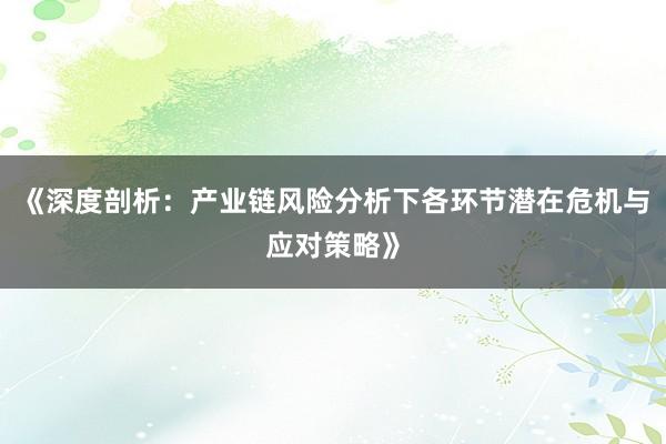 《深度剖析：产业链风险分析下各环节潜在危机与应对策略》