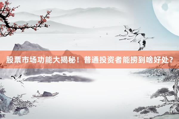 股票市场功能大揭秘！普通投资者能捞到啥好处？