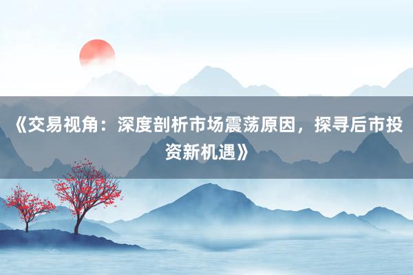 《交易视角：深度剖析市场震荡原因，探寻后市投资新机遇》