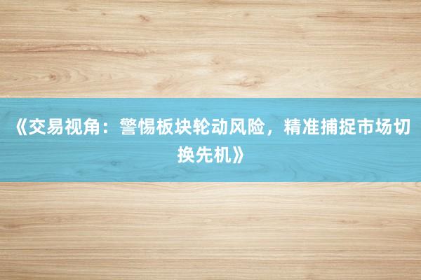 《交易视角：警惕板块轮动风险，精准捕捉市场切换先机》