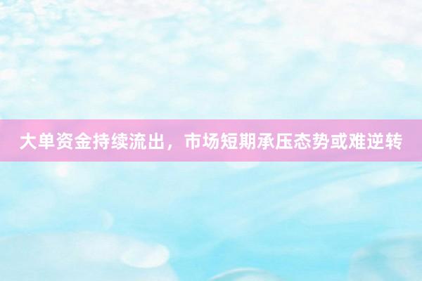 大单资金持续流出，市场短期承压态势或难逆转