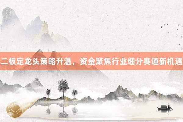 二板定龙头策略升温，资金聚焦行业细分赛道新机遇
