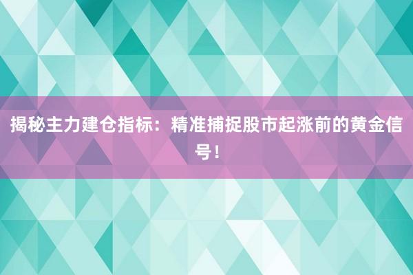 揭秘主力建仓指标：精准捕捉股市起涨前的黄金信号！