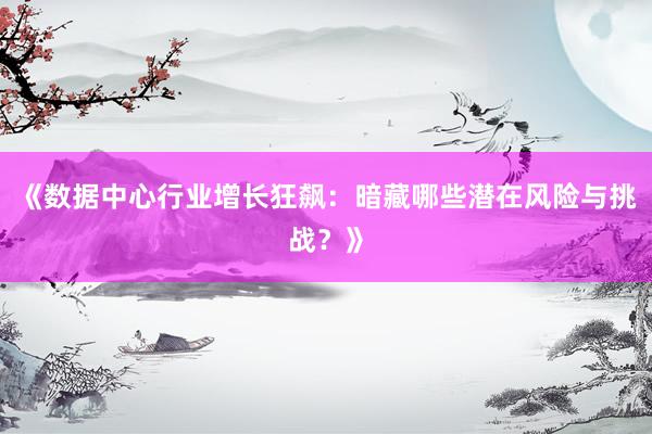《数据中心行业增长狂飙：暗藏哪些潜在风险与挑战？》