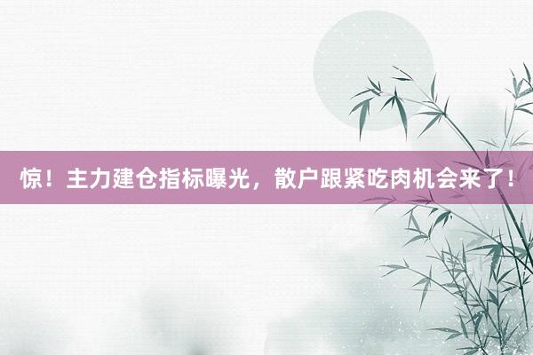 惊！主力建仓指标曝光，散户跟紧吃肉机会来了！
