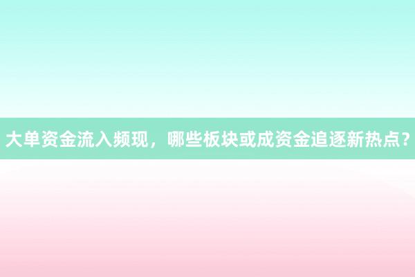 大单资金流入频现，哪些板块或成资金追逐新热点？