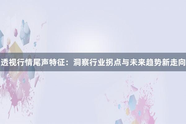 透视行情尾声特征：洞察行业拐点与未来趋势新走向