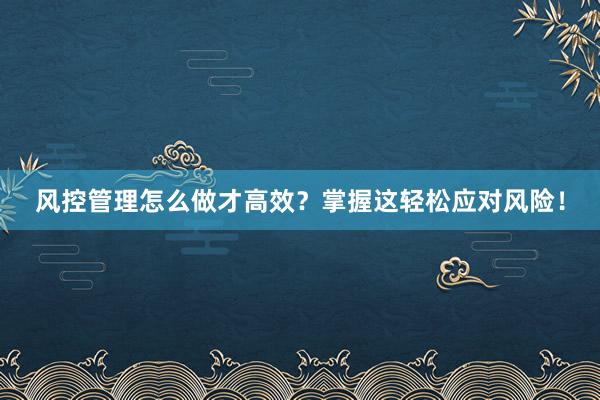风控管理怎么做才高效？掌握这轻松应对风险！